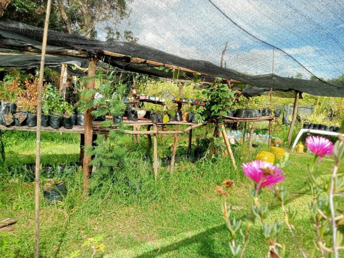 Hospedaje Y Zona De Camping Pistacho Guest House Villa de Leyva Exterior photo